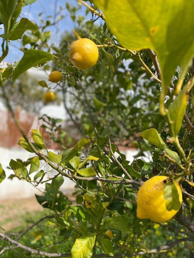 Finca Las Fuentezuelas Carataunas Екстер'єр фото